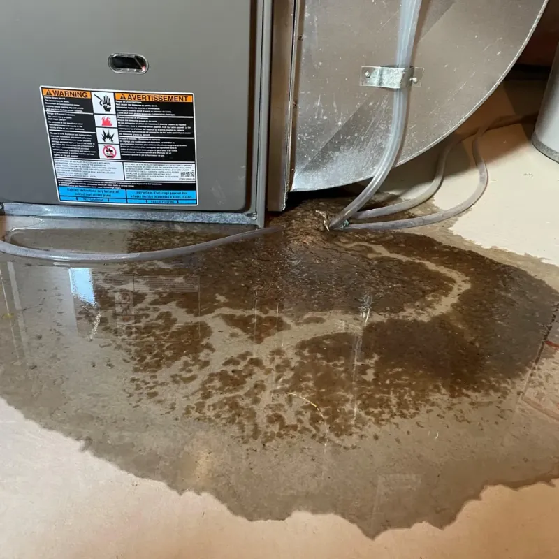 Appliance Leak Cleanup in Valley County, NE